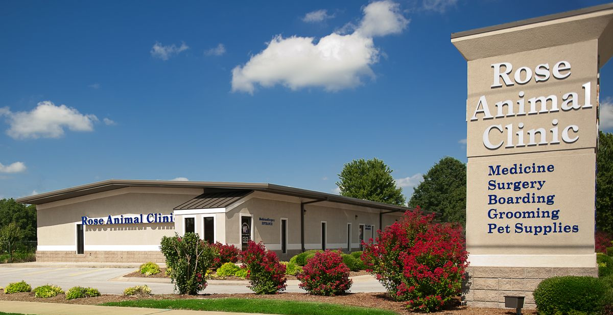 Best Veterinary Hospital In Bentonville, AR | Rose Animal Clinic