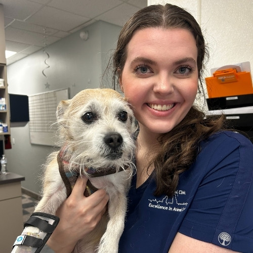 Elizabeth Coming soon